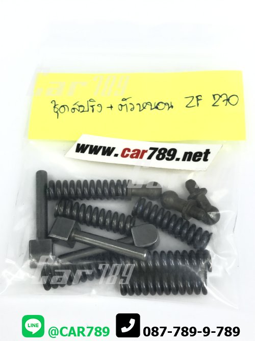 ชุดซ่อมตัวหนอนเกียร์ZF