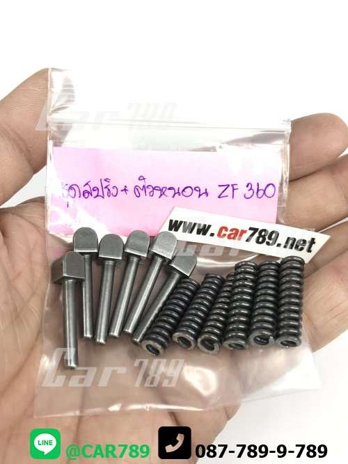 ชุดซ่อมตัวหนอนเกียร์ZF
