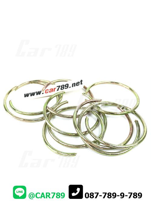 แหวนล็อคลูกปืนปลายเดือยหมู