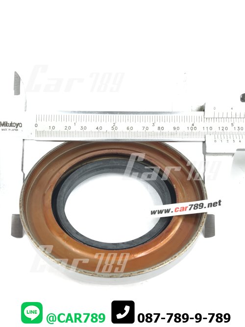 ซิลเดือยหมู