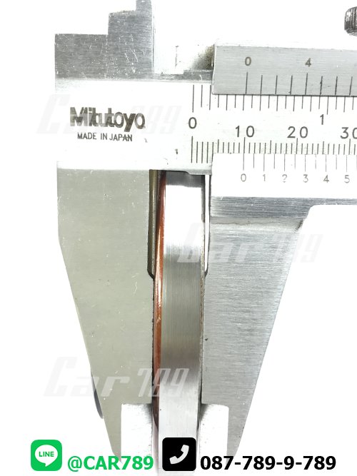 ซิลเดือยหมู