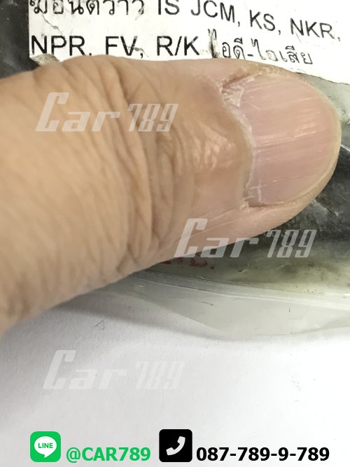 กระเดื่องวาวล์