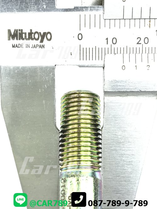 สตัดหัวหมู