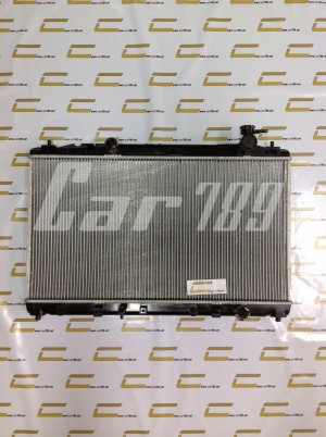 หม้อน้ำพลาสติก.OEM